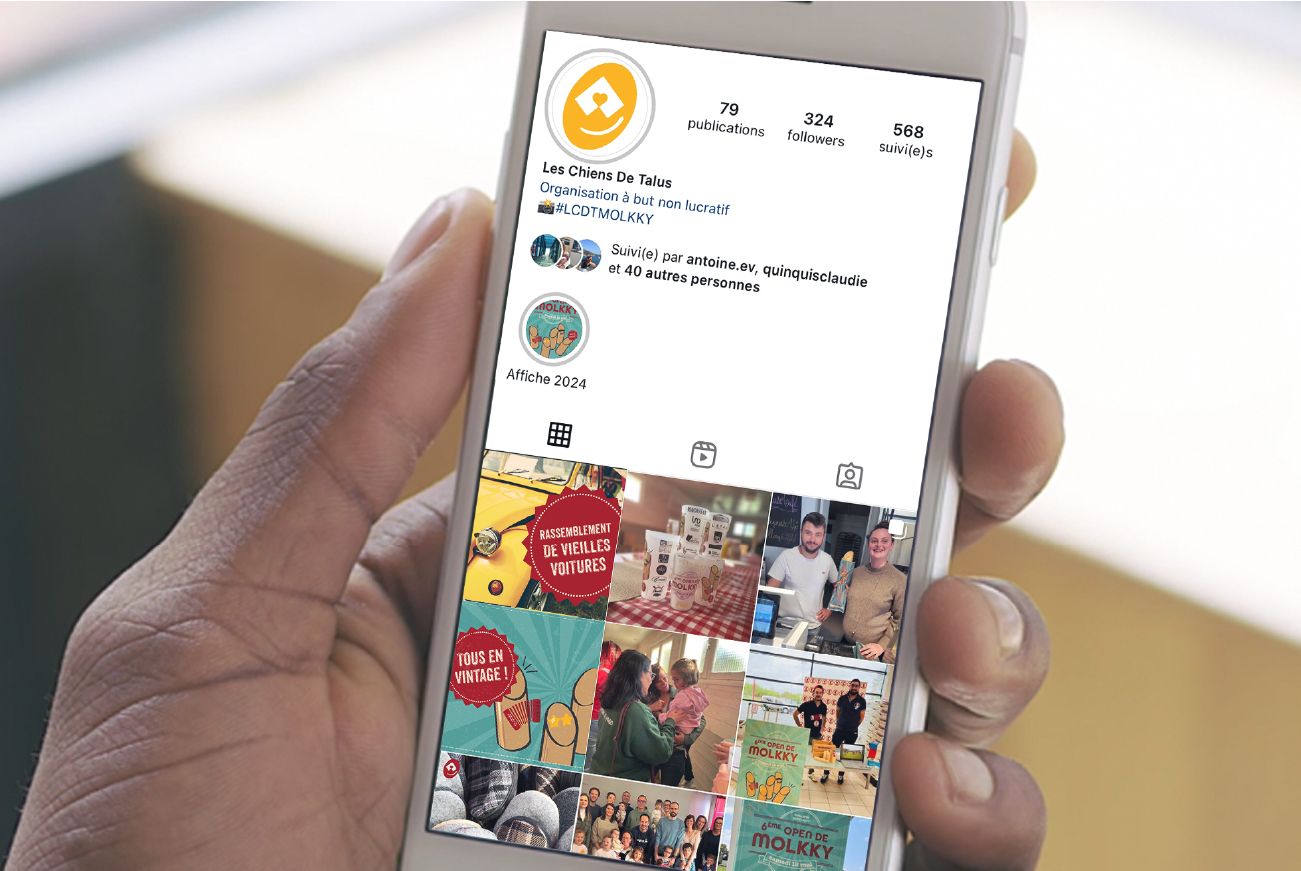 visuels réseaux sociaux pour un évènement caritatif de molkky Les Chiens de Talus dans le Morbihan