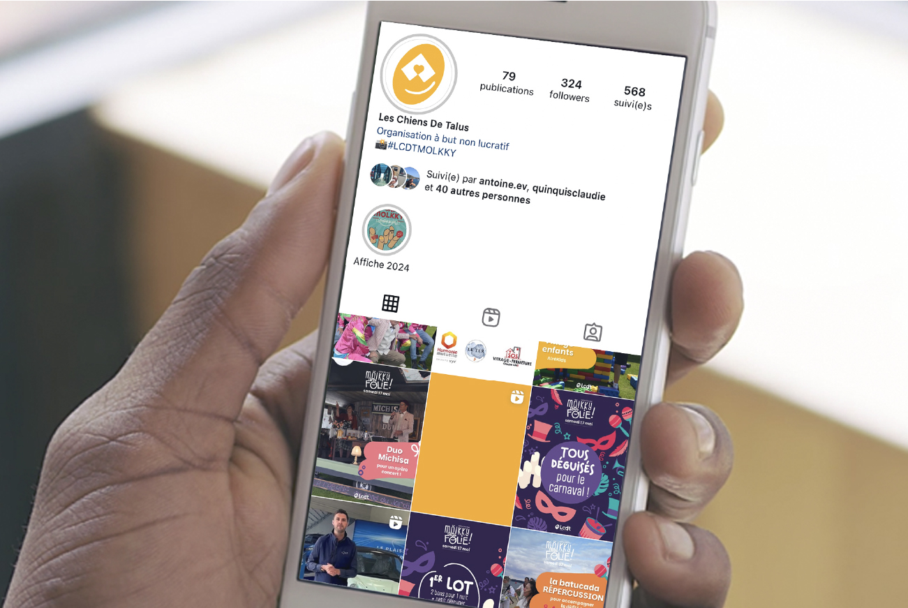 visuels réseaux pour un évènement caritatif de molkky en folie Les Chiens de Talus dans le Morbihan