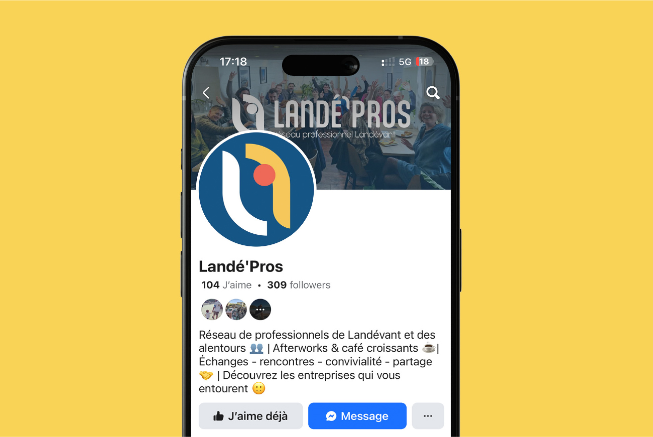 visuels réseaux sociaux d'un réseau professionnels Landé'pros dans le Morbihan