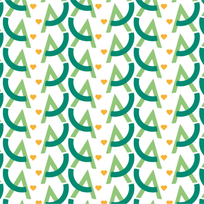 identité visuelle pour une association caritative LADI Les Amis de Ianis dans le Finistère