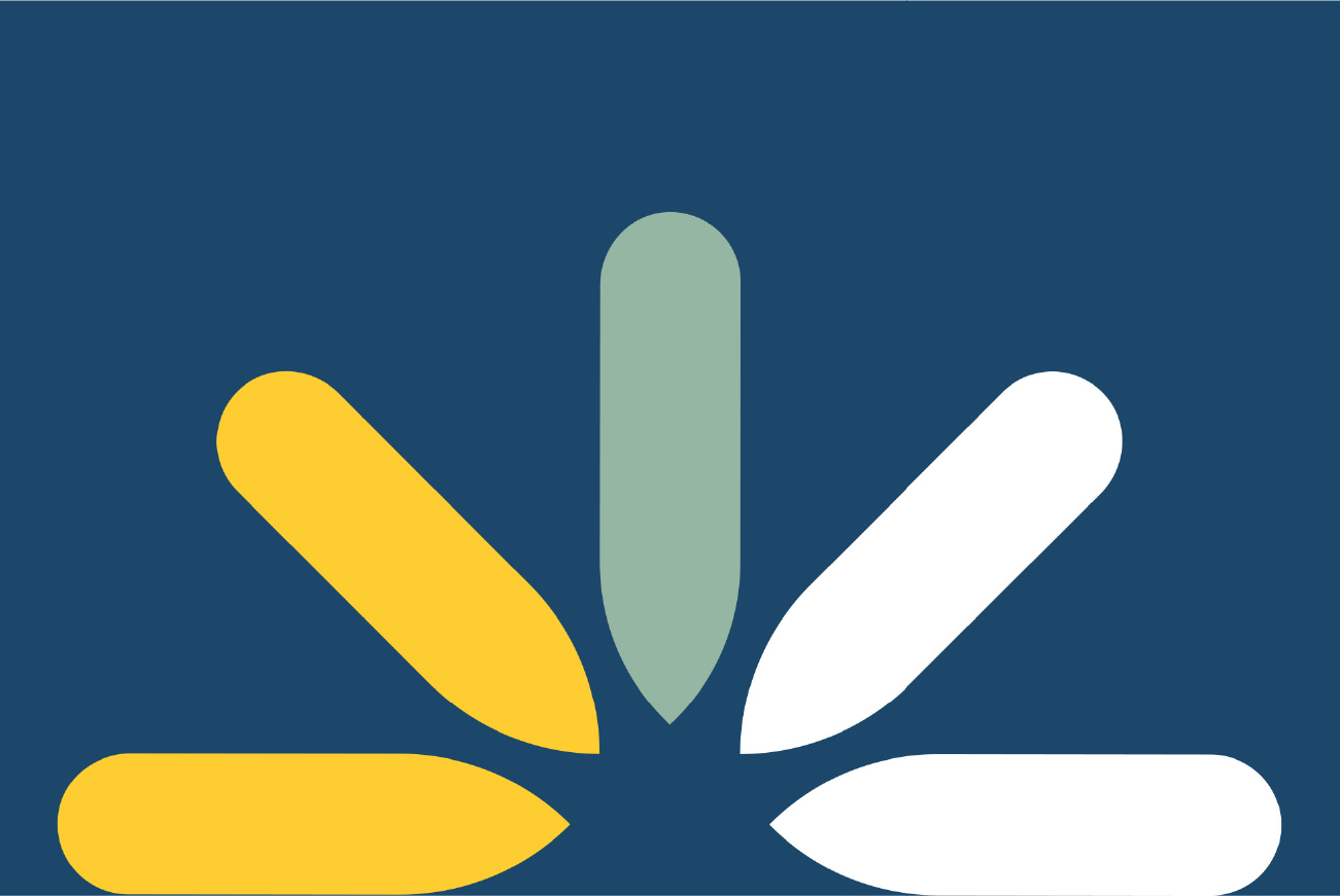 identité visuelle pour une indépendante en marketing et stratégie FB Lights up dans le Morbihan